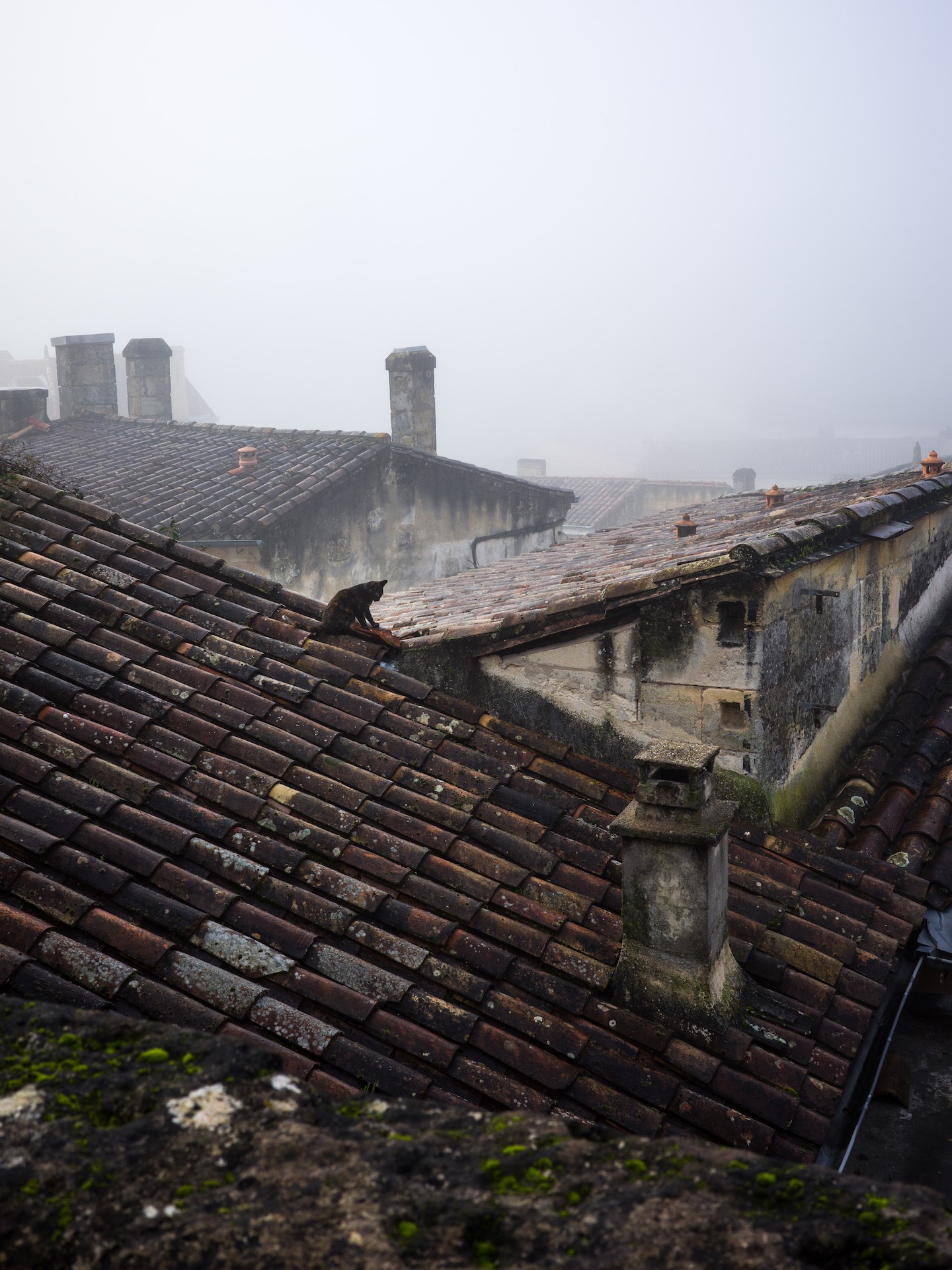 Saint-Emilion